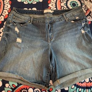 Torrid Cuffed Bermuda Shorts
